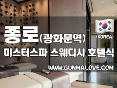 종로 광화문역 [미스터스파] 이미지