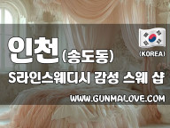 인천 송도동 [에스라인스웨디시] 이미지