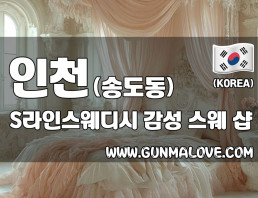 인천 송도동 [에스라인스웨디시] 이미지