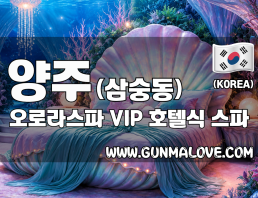 양주 삼숭동 [오로라스파] 이미지