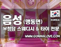 충북혁신도시 음성 [W청담] 이미지