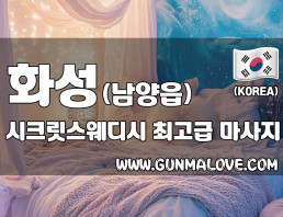 화성 남양읍 [시크릿스웨디시] 이미지