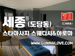 세종 도담동 [스타마사지] 이미지