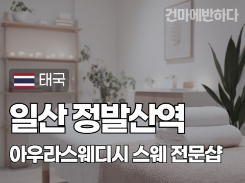 일산 정발산역 [아우라스웨디시] 이미지