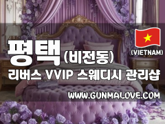 평택 비전동 [리버스] 이미지