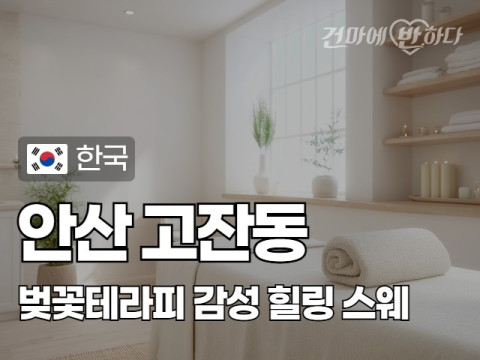 안산 고잔동 [벚꽃테라피] 이미지
