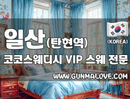 일산 탄현역 [코코스웨디시] 이미지