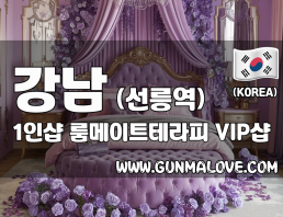 강남 선릉역 1인샵 [룸메이트테라피] 이미지