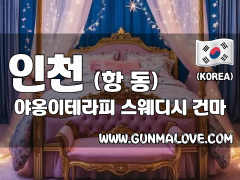 인천 항동 [야옹이테라피] 이미지