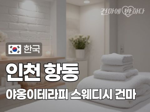 인천 항동 [야옹이테라피] 이미지
