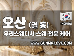 오산 궐동 [우리스웨디시] 이미지