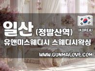 일산 정발산역 [유앤미스웨디시] 이미지