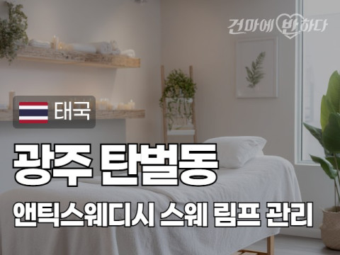 광주 탄벌동 [앤틱스웨디시] 이미지