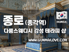 종로 종각역 [다룸스웨디시] 이미지