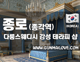 종로 종각역 [다룸스웨디시] 이미지