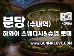 분당 수내역 [하와이] 이미지