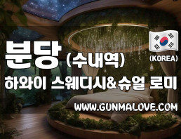 분당 수내역 [하와이] 이미지
