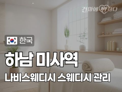 하남 미사역 [나비스웨디시] 이미지