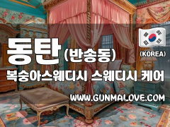 동탄 반송동 [복숭아스웨디시] 이미지