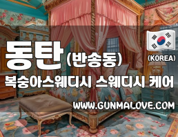 동탄 반송동 [복숭아스웨디시] 이미지