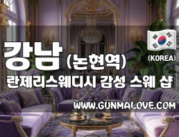 강남 논현역 [란제리스웨디시] 이미지