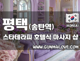 평택 송탄역 [스타테라피] 이미지