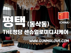 평택 동삭동 [더청담] 이미지