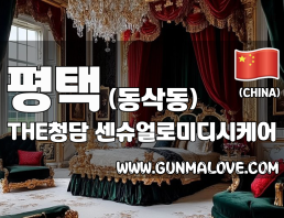 평택 동삭동 [더청담] 이미지