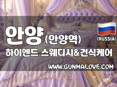 안양 안양역 [하이엔드] 이미지