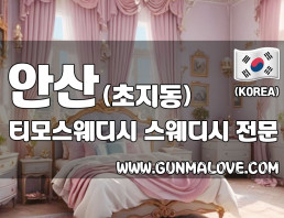 안산 초지동 [티모스웨디시] 이미지