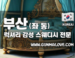 부산 좌동 [럭셔리] 이미지