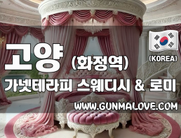 고양 화정역 [가넷테라피] 이미지