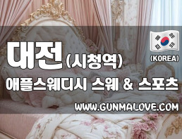 대전 시청역 [애플스웨디시] 이미지
