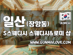 일산 장항동 [에스스웨디시] 이미지