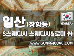 일산 장항동 [에스스웨디시] 이미지