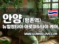 안양 평촌역 [뉴힐링타이] 이미지