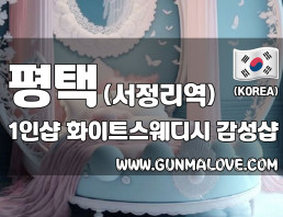 평택 서정리역 1인샵 [화이트스웨디시] 이미지