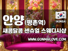 안양 평촌역 [새콤달콤] 이미지