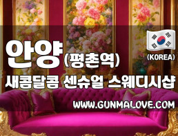 안양 평촌역 [새콤달콤] 이미지