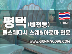 평택 비전동 [쿨스웨디시] 이미지