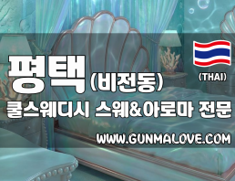 평택 비전동 [쿨스웨디시] 이미지
