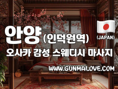 안양 인덕원역 [오사카] 이미지