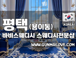 평택 용이동 [바비스웨디시] 이미지