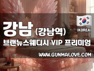 강남 강남역 [브랜뉴스웨디시] 이미지