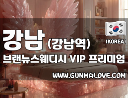 강남 강남역 [브랜뉴스웨디시] 이미지