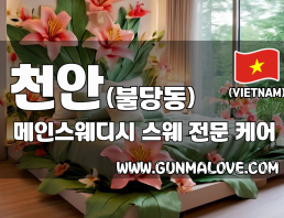 천안 불당동 [메인스웨디시] 이미지