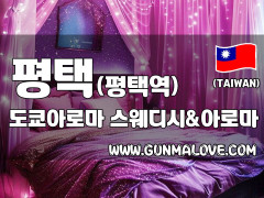 평택 평택역 [도쿄아로마] 이미지
