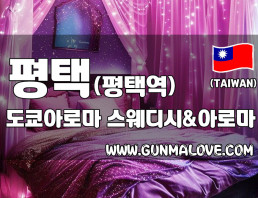 평택 평택역 [도쿄아로마] 이미지