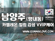 남양주 평내동 [카멜레온] 이미지