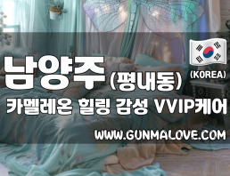 남양주 평내동 [카멜레온] 이미지